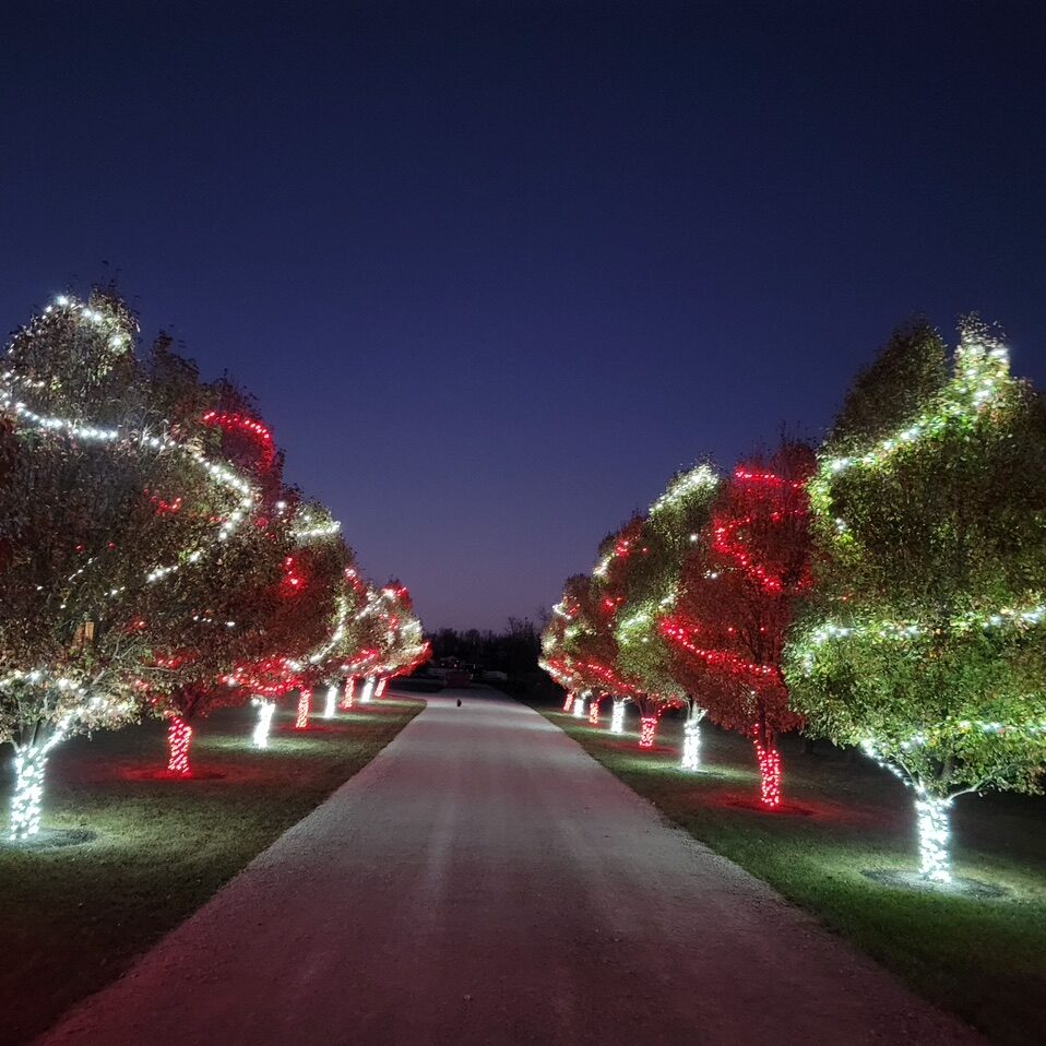 Christmas Light Installation Company Cost Vineyards Fl
