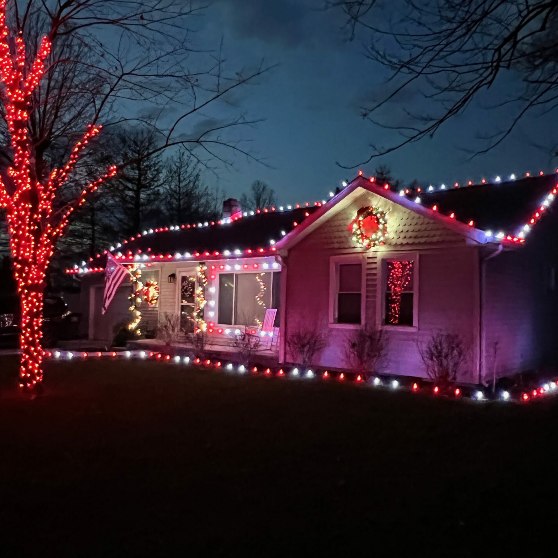 Christmas Light Installation Company Cost Vineyards Fl